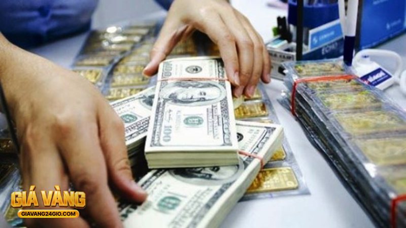Giavangnhanh 9999 - Đơn vị lượng, chỉ và thời điểm cập nhật